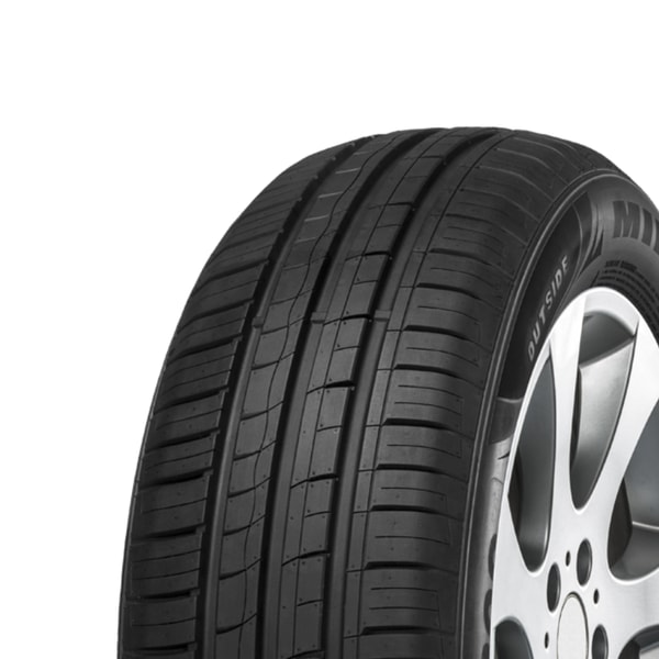 145/80 R12 74T 209 Minerva
